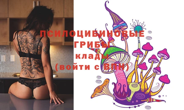 спайс Пересвет